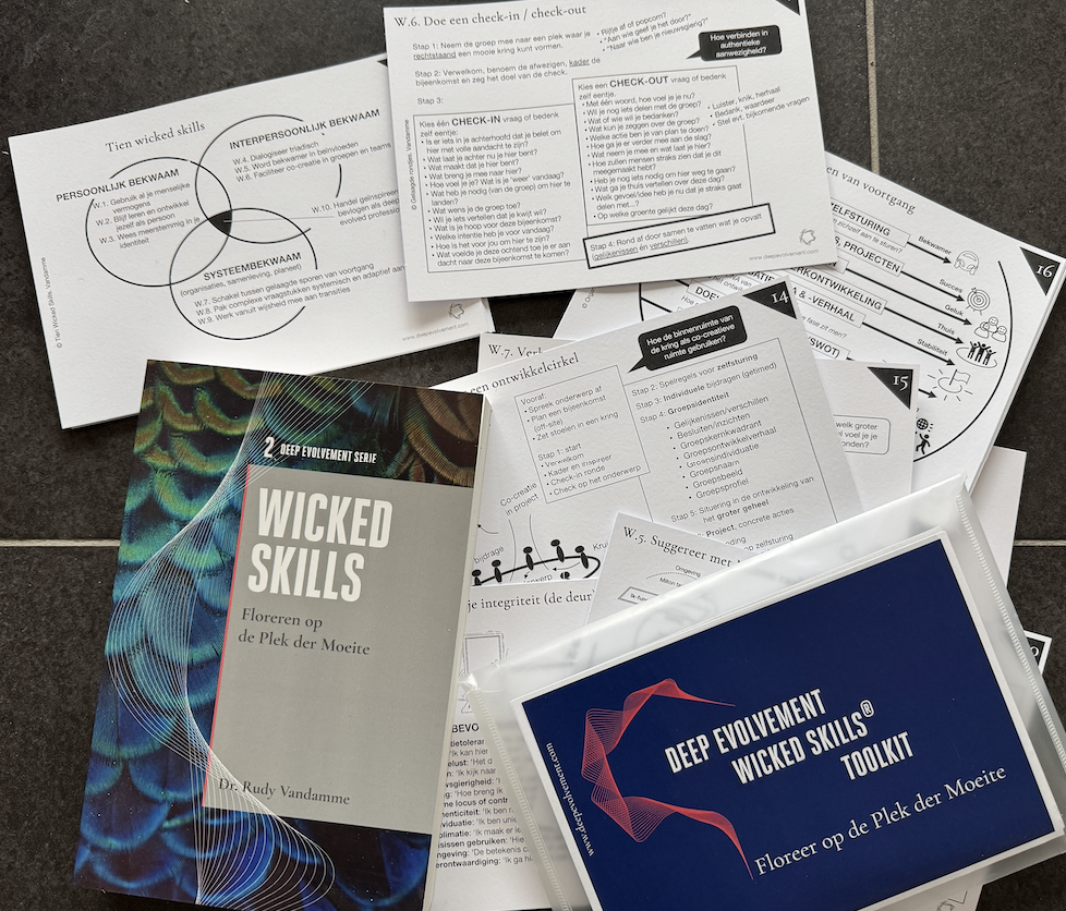 Boek Wicked Skills + Toolkit – E-shop Deep Evolvement